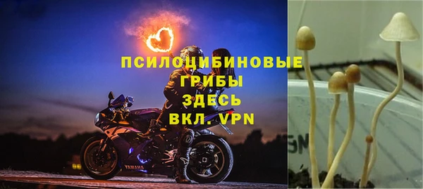 ECSTASY Алексин